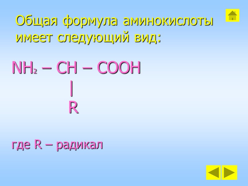 Общая формула аминокислоты  имеет следующий вид:  NH2 – CH – COOH 